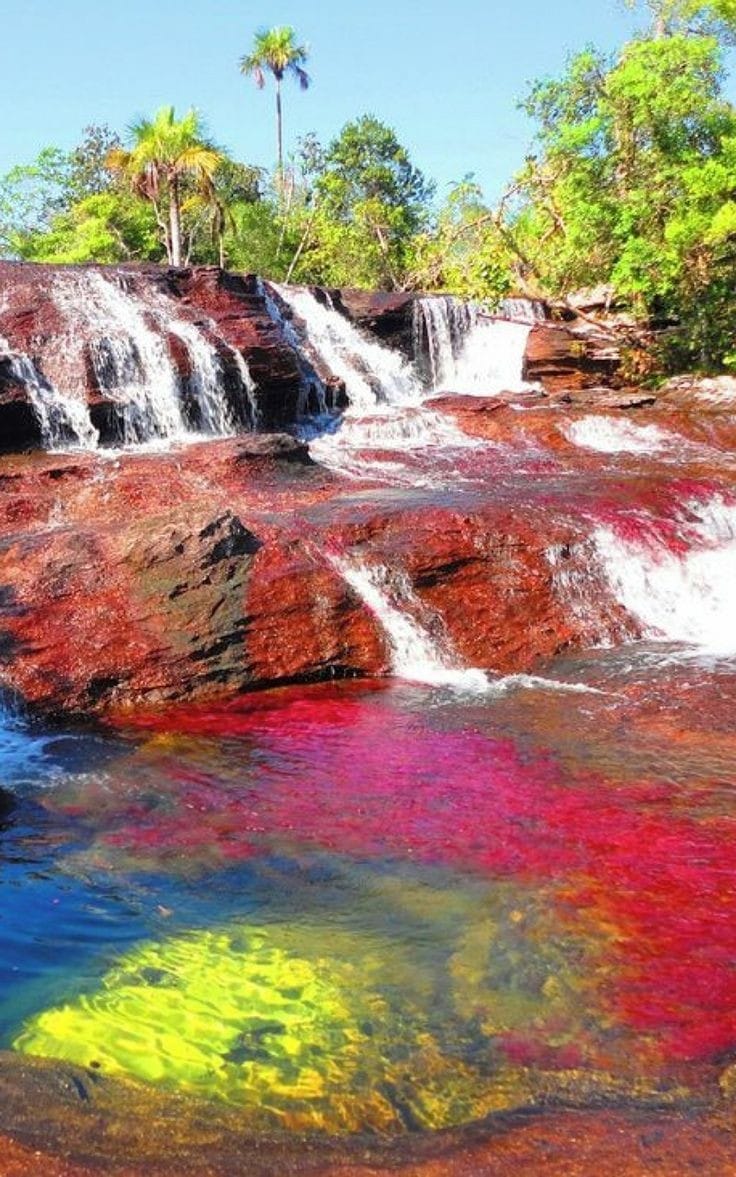 Caño Cristales